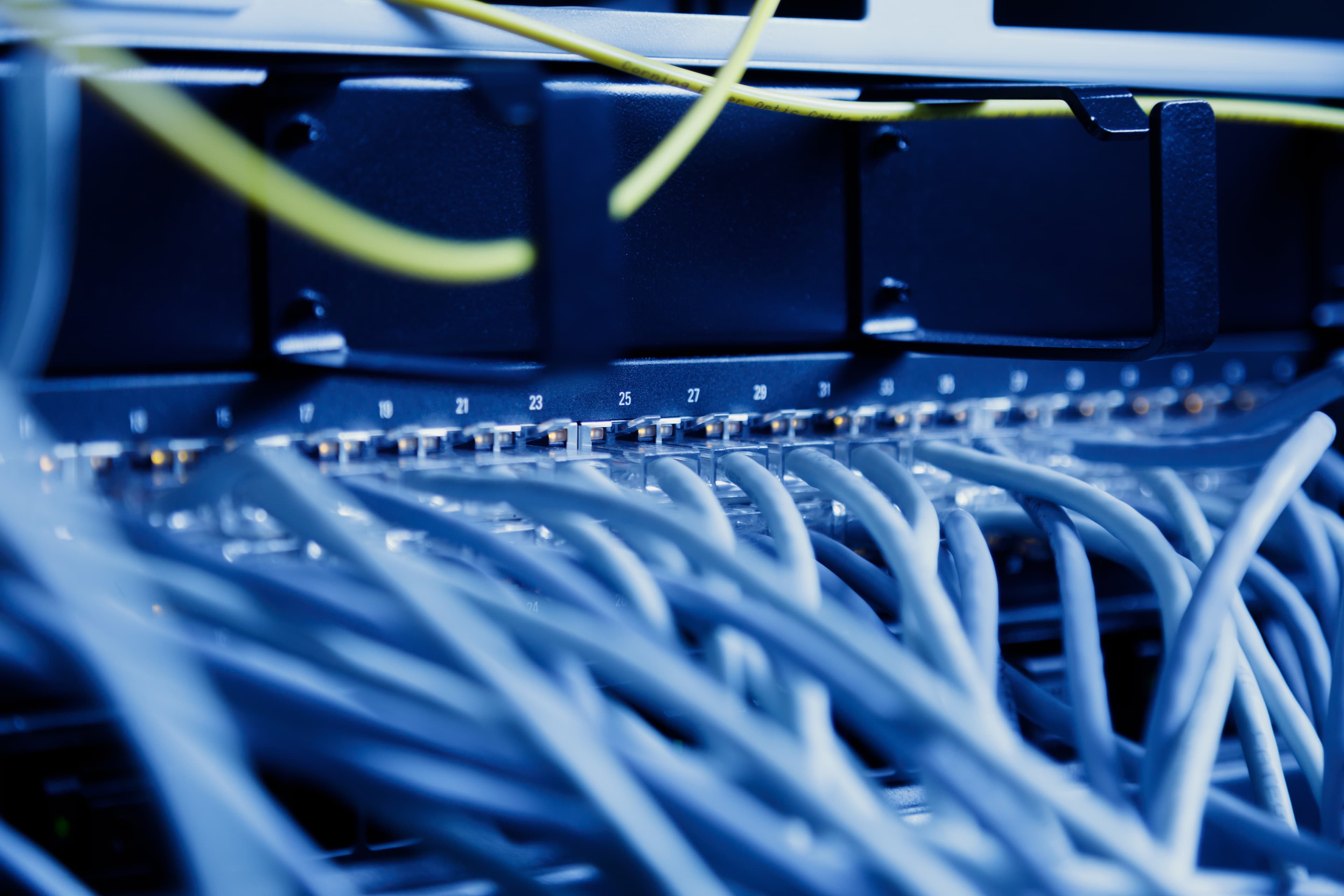 Network switches, patch panels and organized cabling